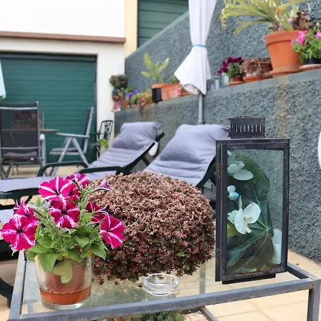 Pinto Coelho * Caniço