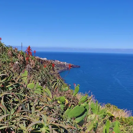 Pinto Coelho Caniço