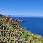 Pinto Coelho カニコ