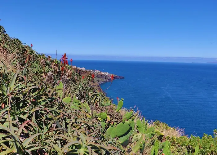 Pinto Coelho Caniço